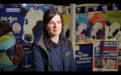 New Transformula research has shown that feeding transition milk has a positive effect on heifers’ milk production at first lactation